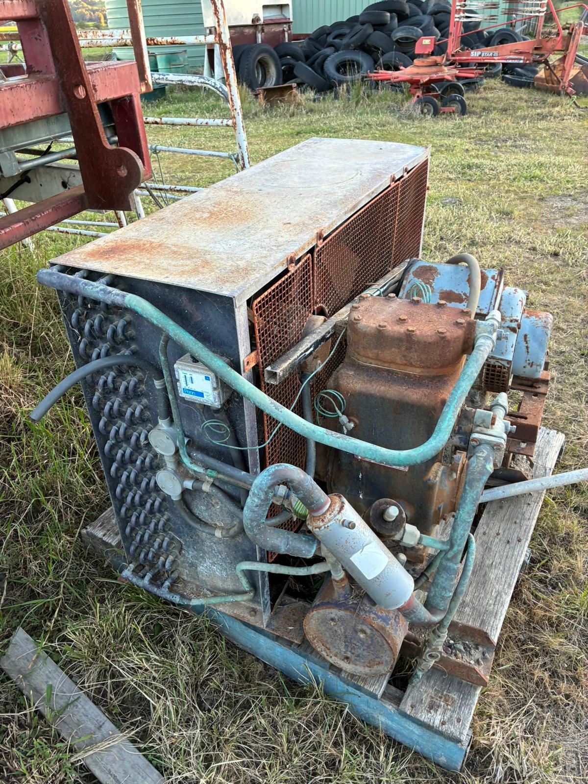 31