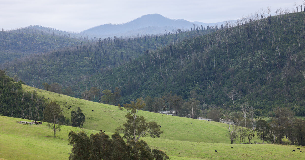 Byron Walters Rural Development Rural Services | Bill Wyndham & Co.