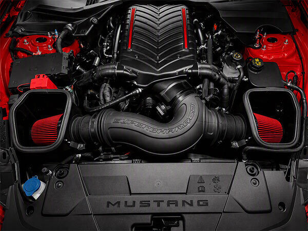 Mustang Dual Open Airbox